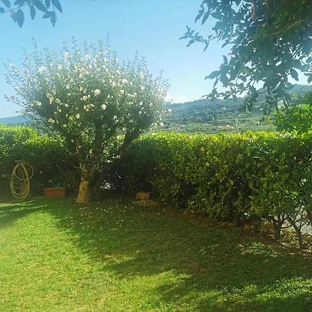 Panorama Apartman *