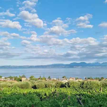 Panorama Apartman *